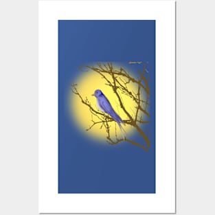 Blue Bird By Moon Light Posters and Art